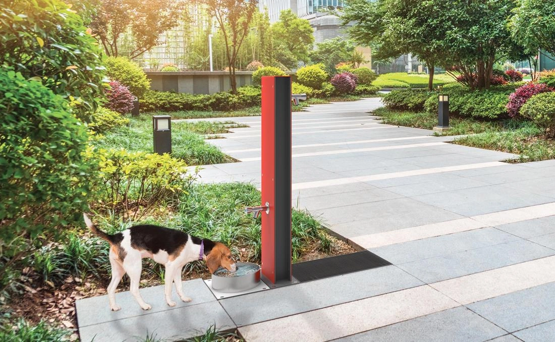 Fuente urbana para perros
